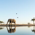 10 Books for Labor Day 2019 (and Beyond)